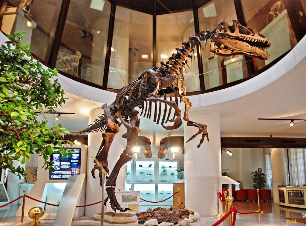 Museo Universitario de Chieti