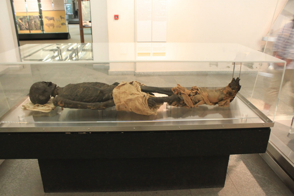 Museo Egizio