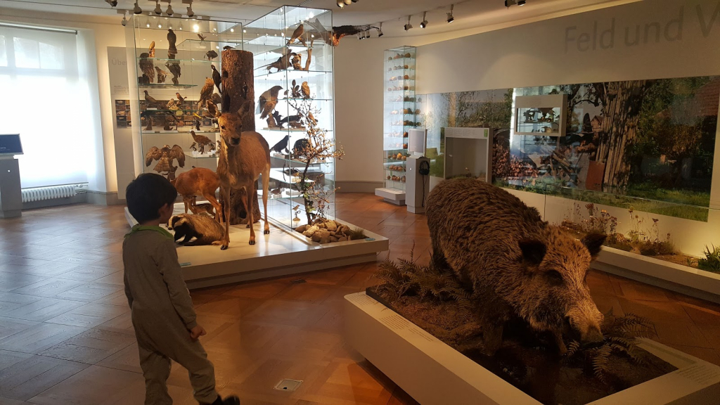 Museo de Historia Natural de Thurgau