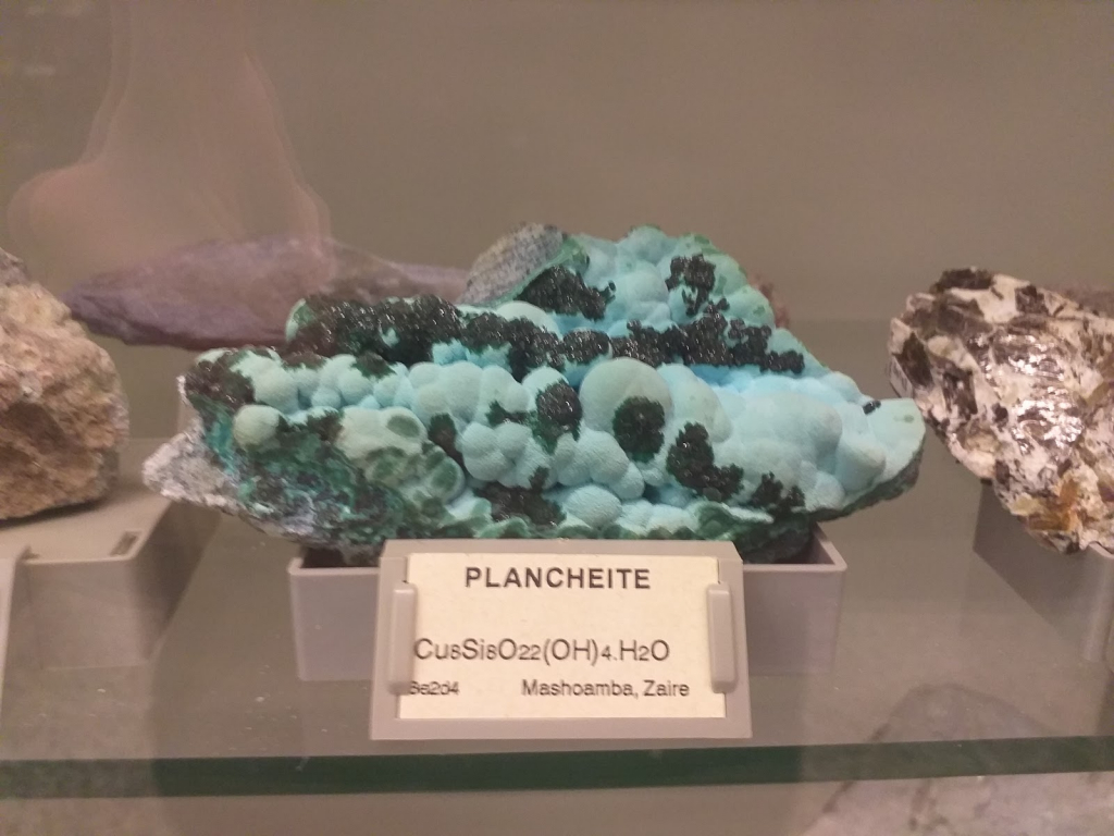 Museo de Historia Natural