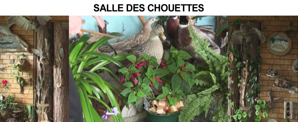 Museo de la Naturaleza