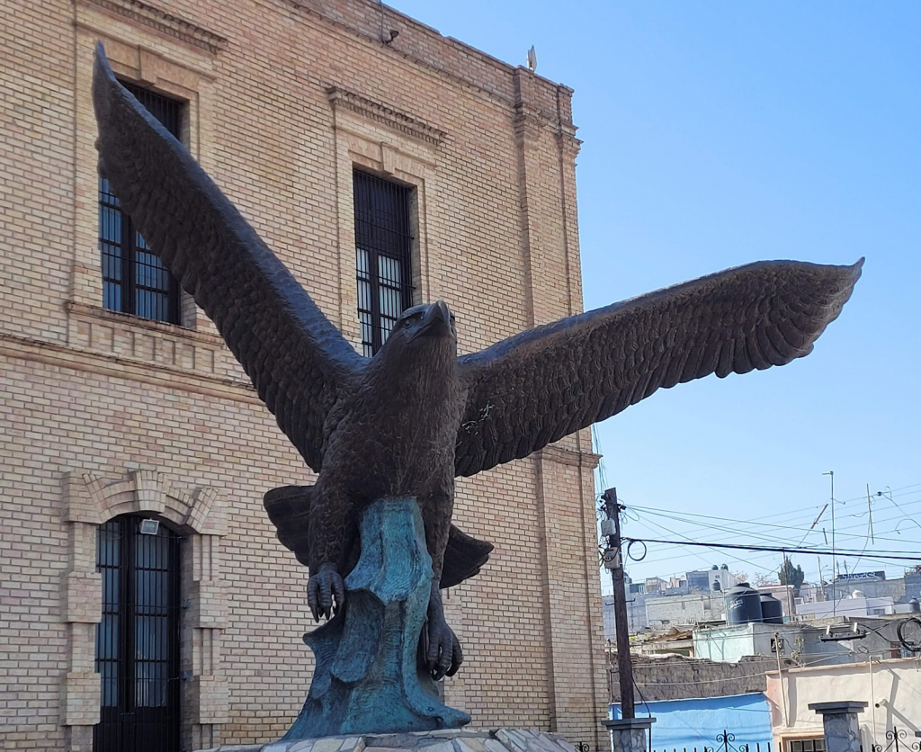 Museo de Las Aves de México