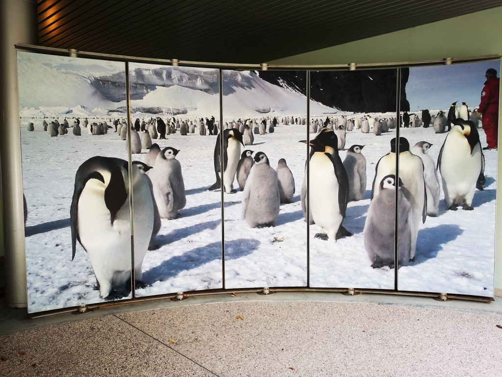Museo Nazionale dell'Antartide