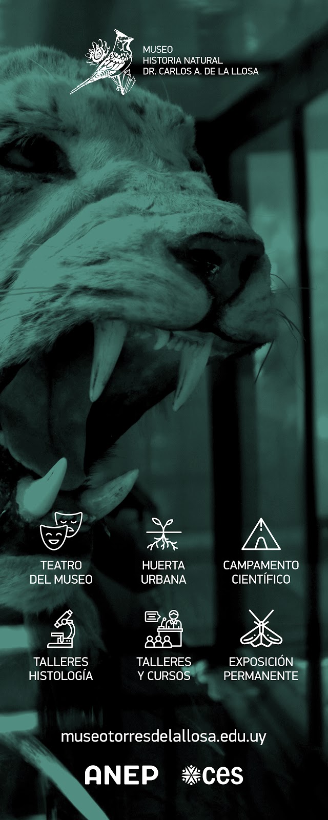 Museo de Historia Natural - Dr. Carlos A. Torres de la Llosa