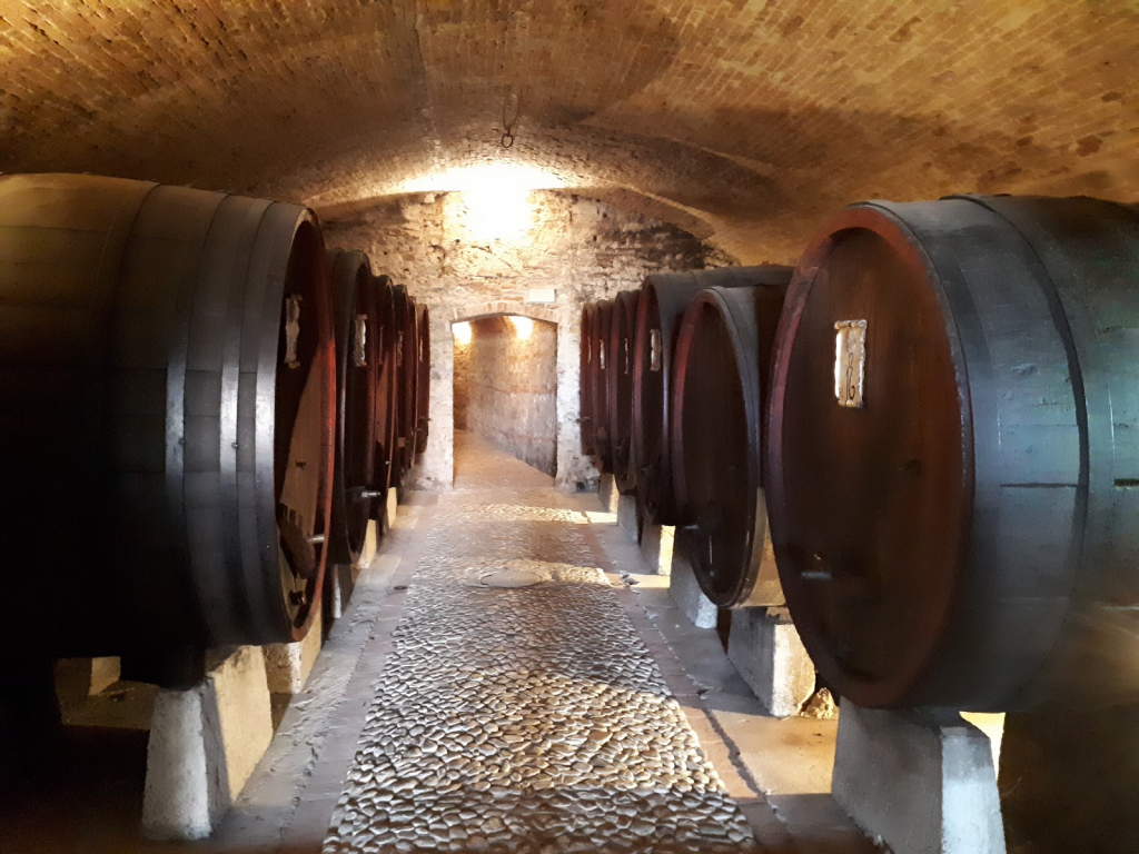 Museo CASA MACHIAVELLI