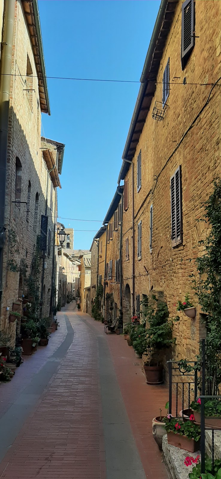 Museo Arqueológico y de la Colegiata