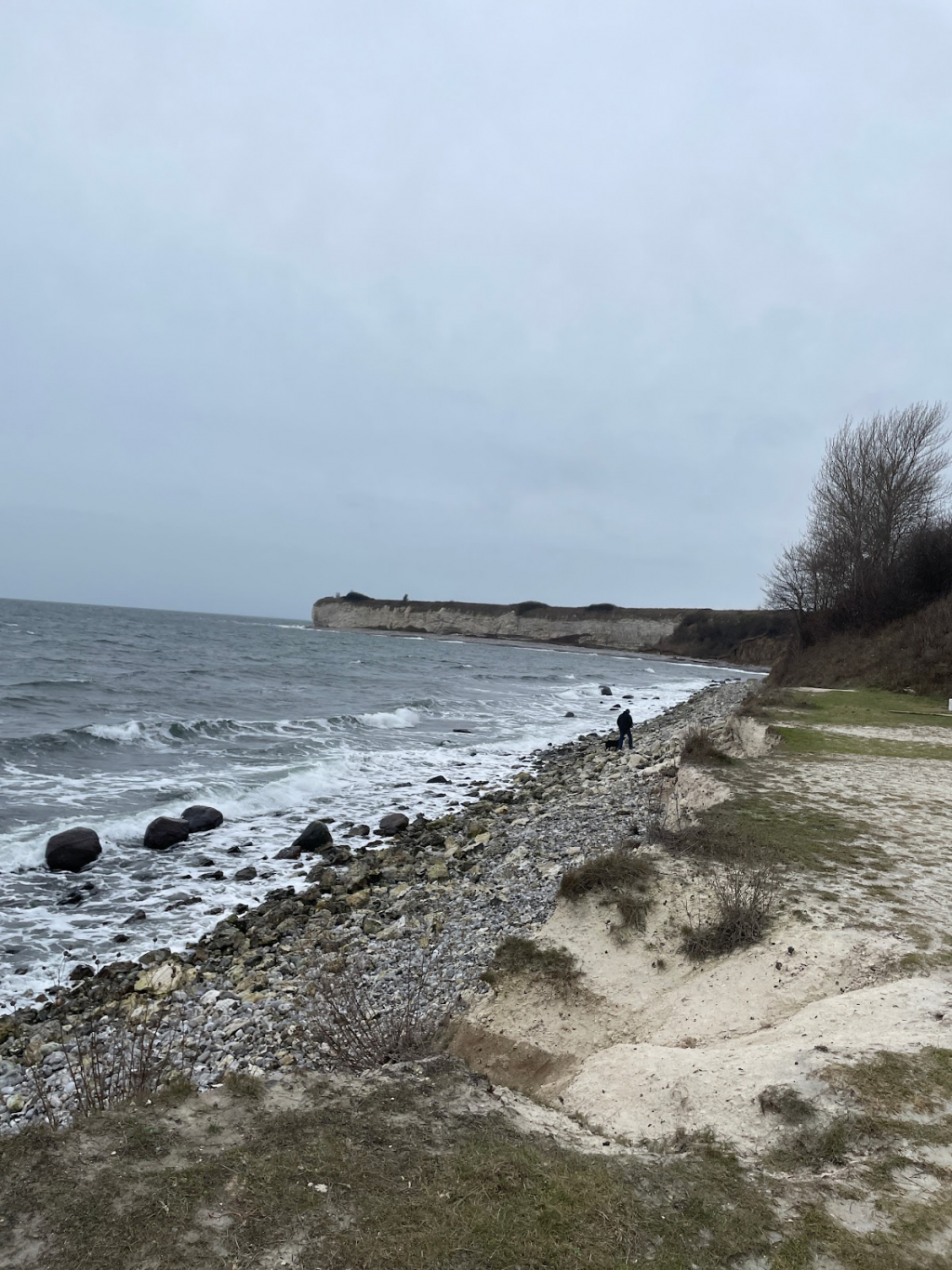 Experiencia Stevns Klint