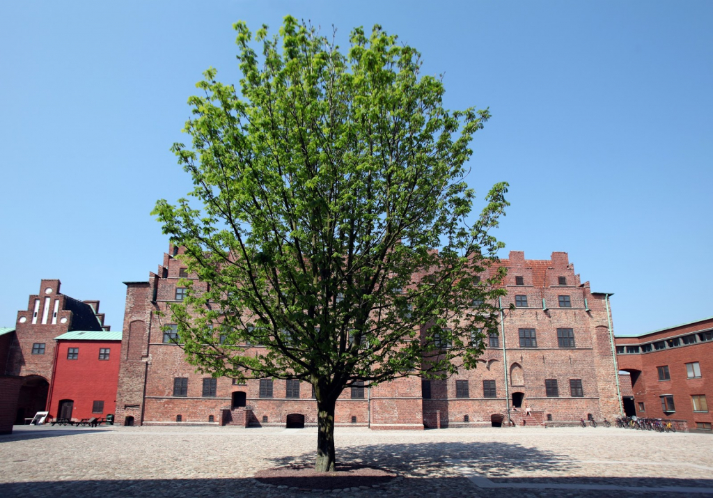Castillo de Malmö