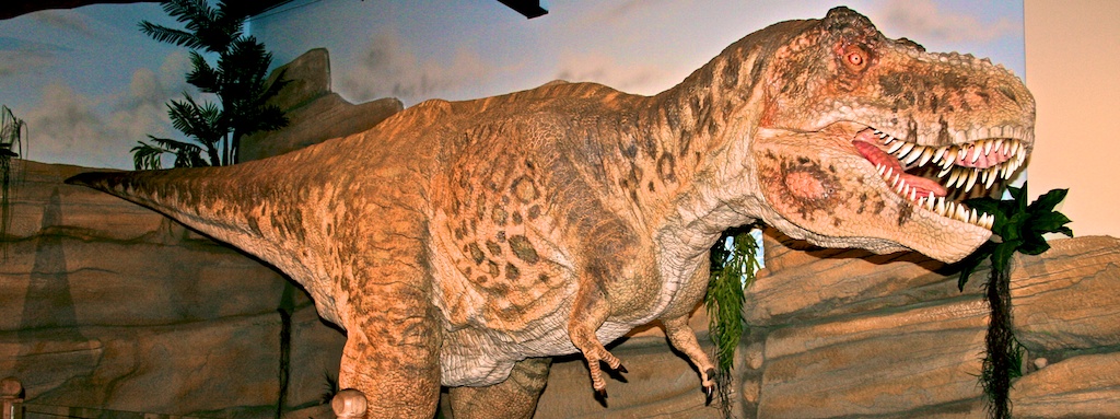 Museo de Dinosaurios Mundo Fossil