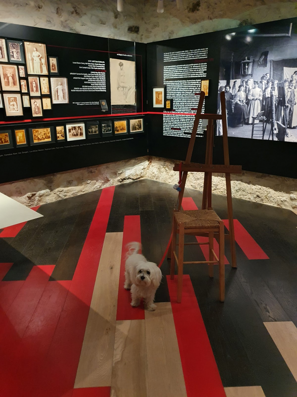 Museo Académie Vitti