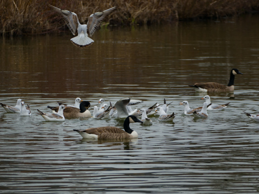 Escultura 'así así'