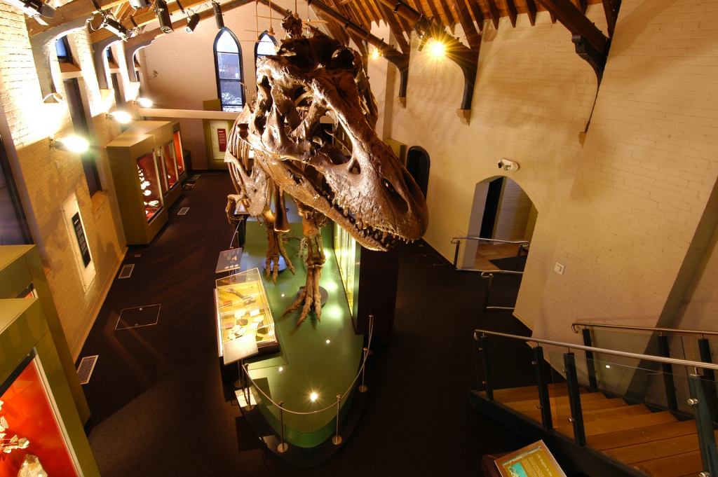 Museo Australiano de Fósiles y Minerales