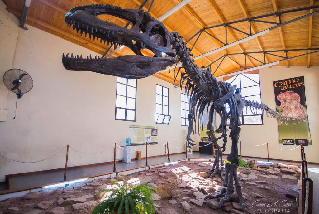 Museo Paleontológico Municipal Ernesto Bachmann