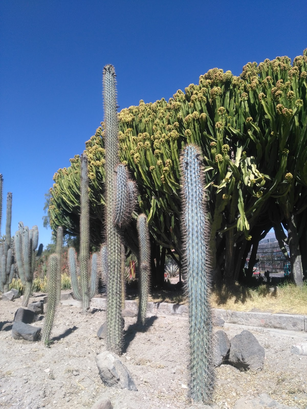 Jardín Botánico UNSCH