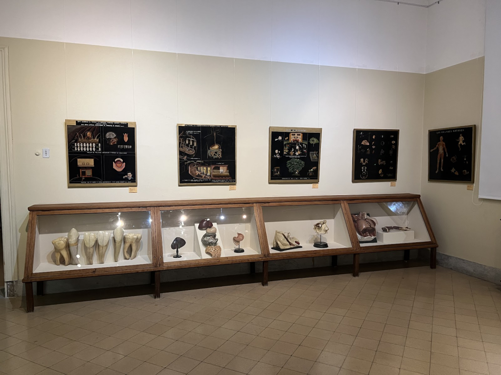 Complejo de Museos del Instituto Félix Bernasconi