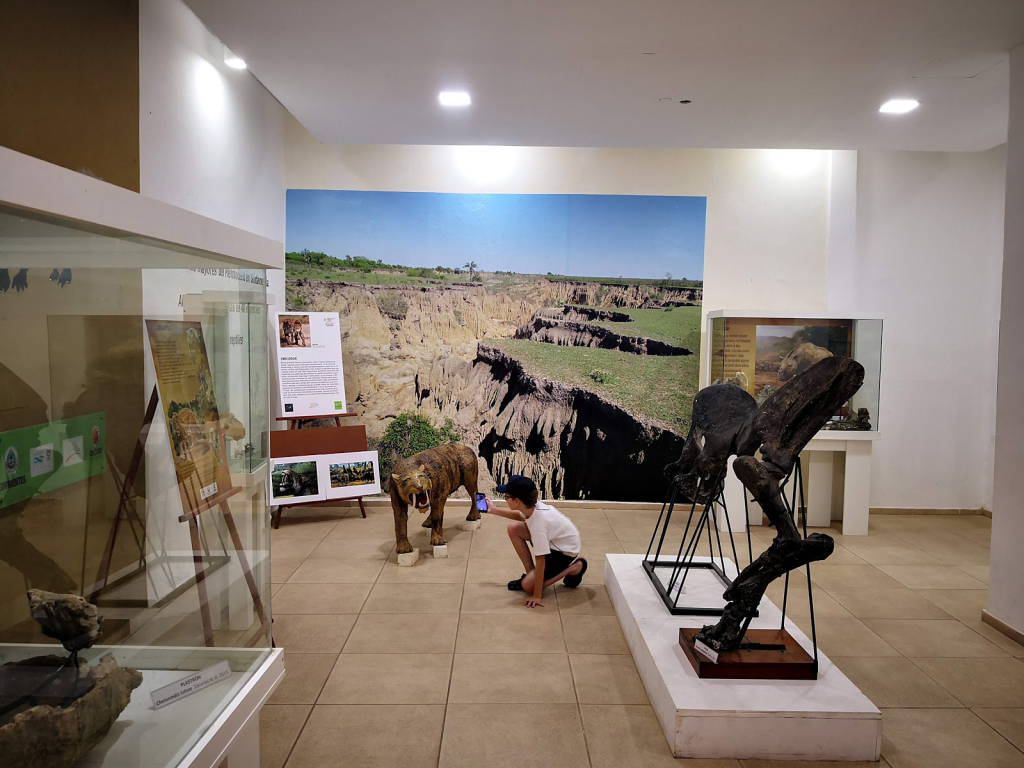 Museo Paleontológico Toropi