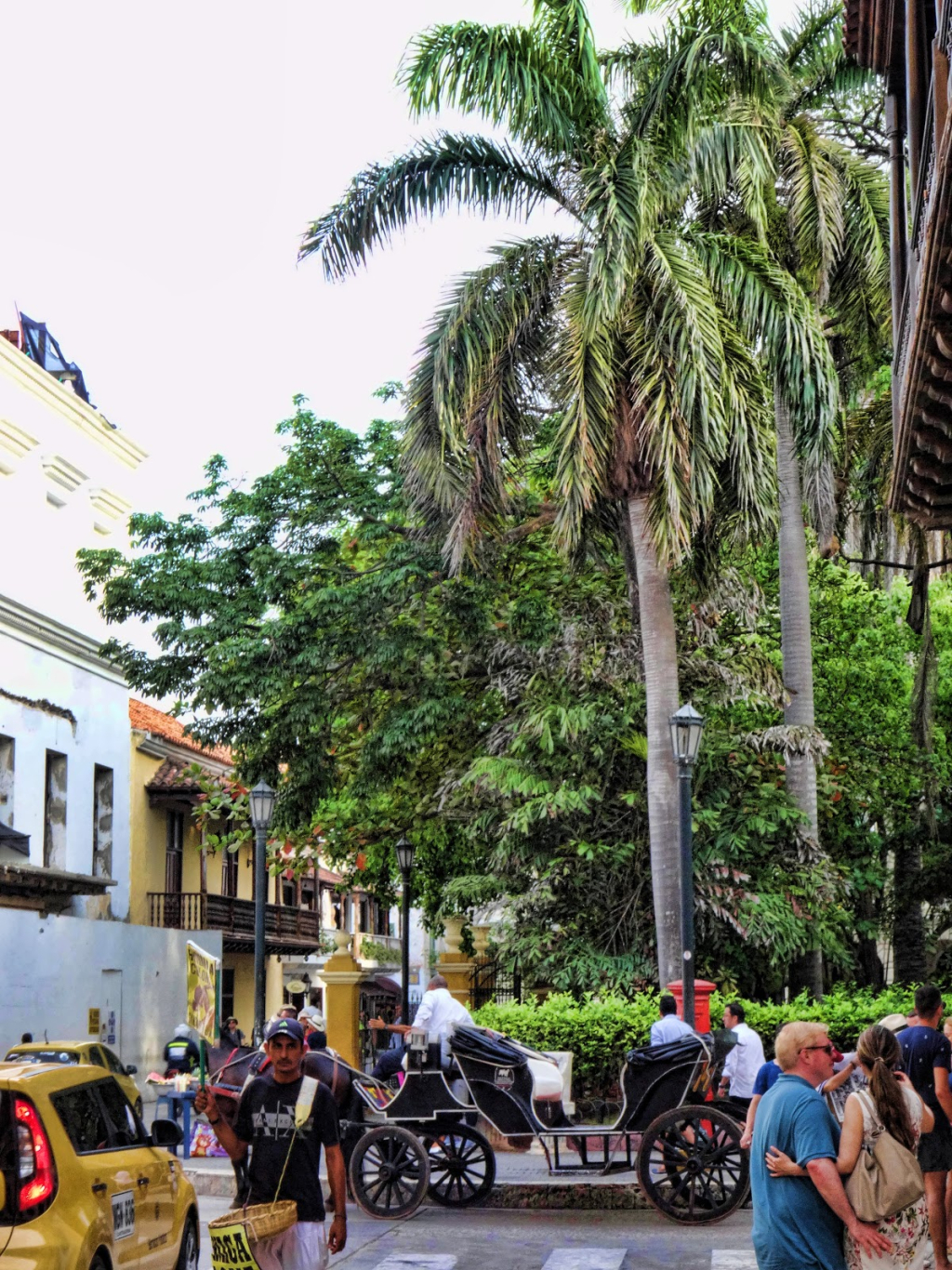 De Oro Y Arqueológico