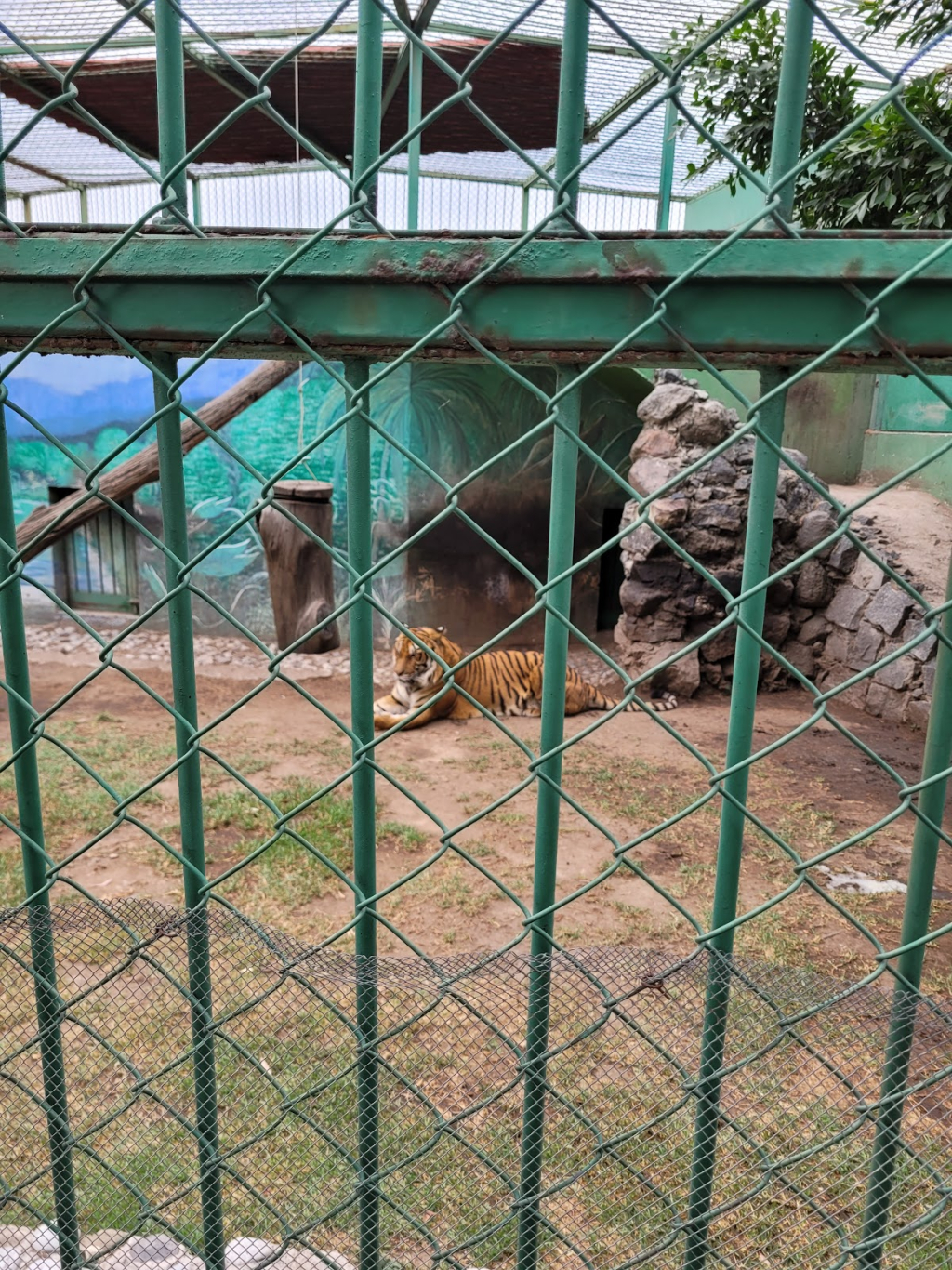 Museo de Historia Natural - Parque del Pueblo