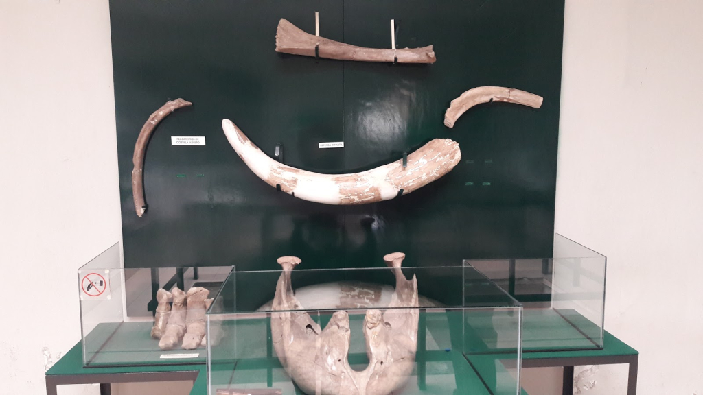 Museo del Hombre de Tepexpan