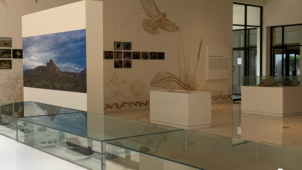 Museo de Arqueología e Historia de El Chamizal