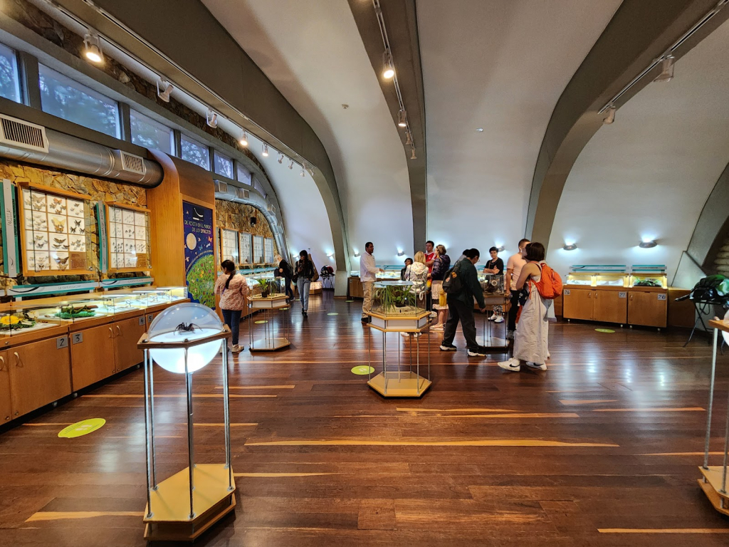 Museo Entomológico Piedras Blancas