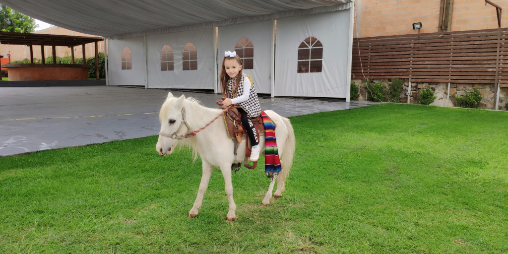 Ponys Para Niños