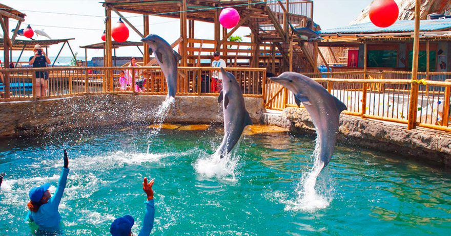 Acuario Rodadero Santa Marta