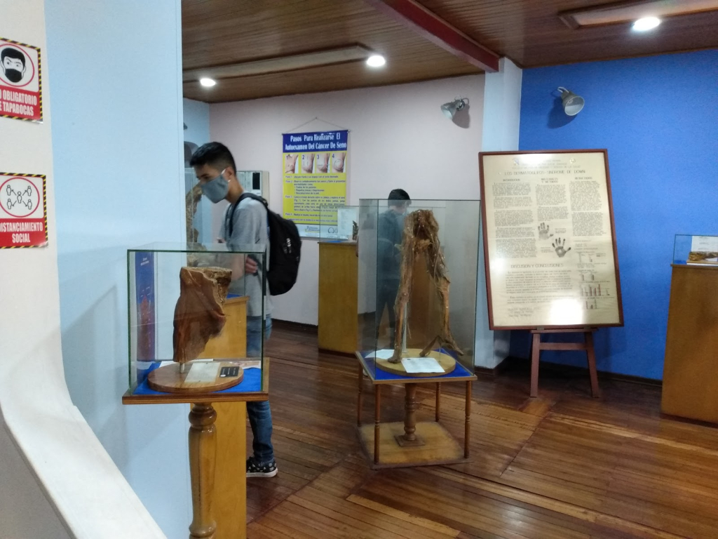 Museo Exposición del Hombre
