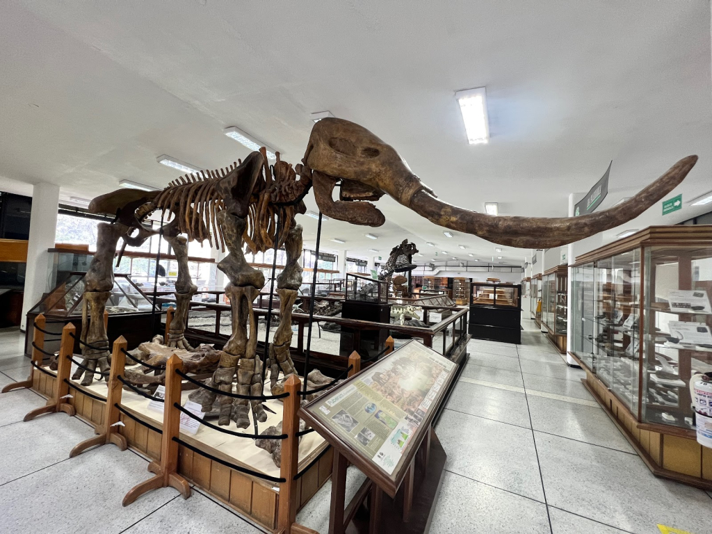 Museo Geológico Nacional de Ingeominas