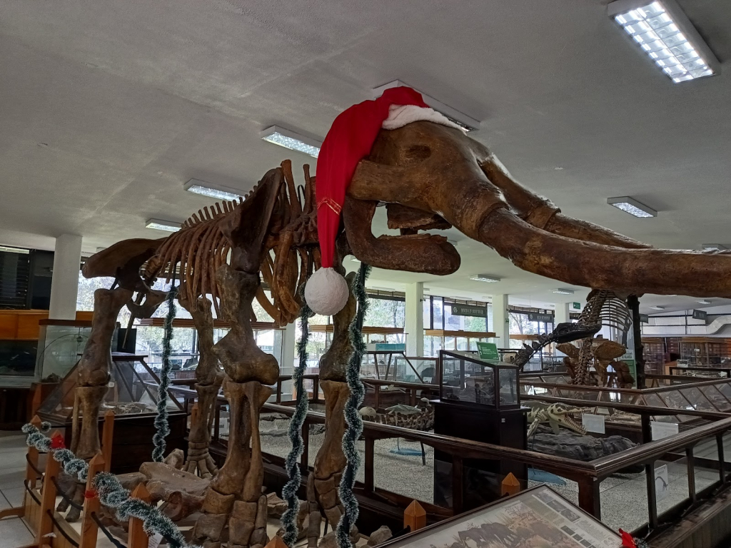 Museo Geológico Nacional José Royo y Gómez