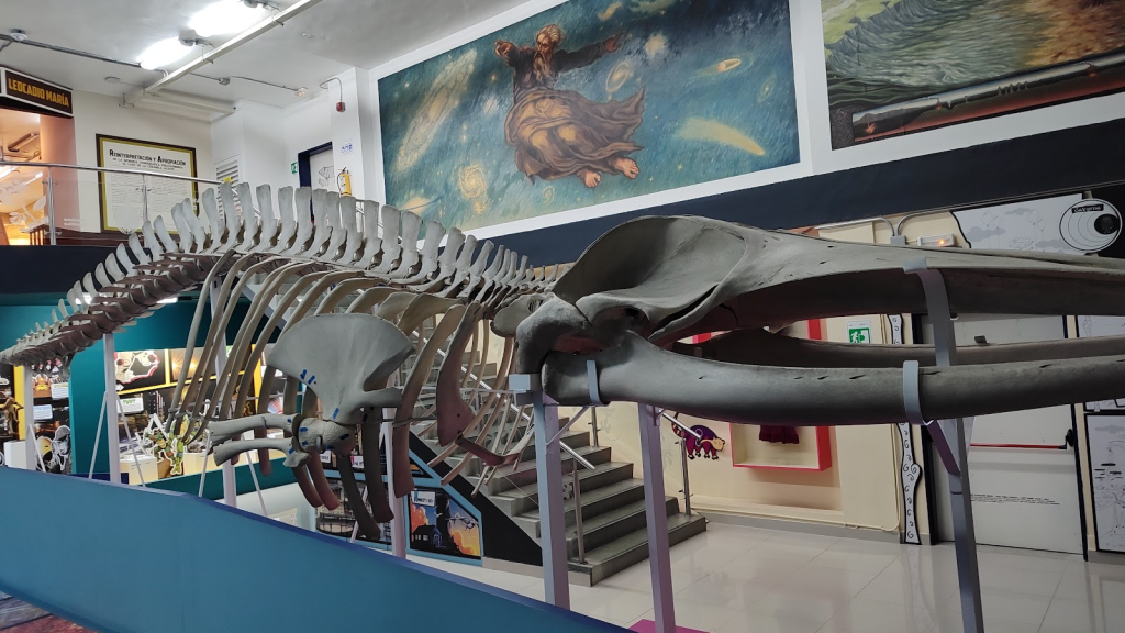 Museo de Ciencias Naturales de La Salle