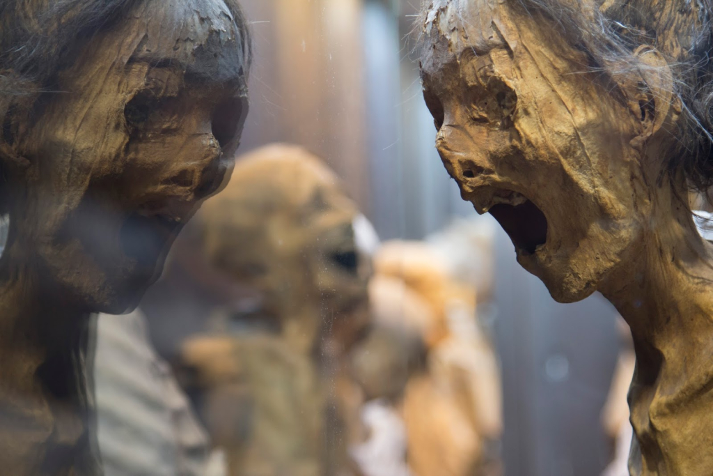 Museo de las Momias de Guanajuato