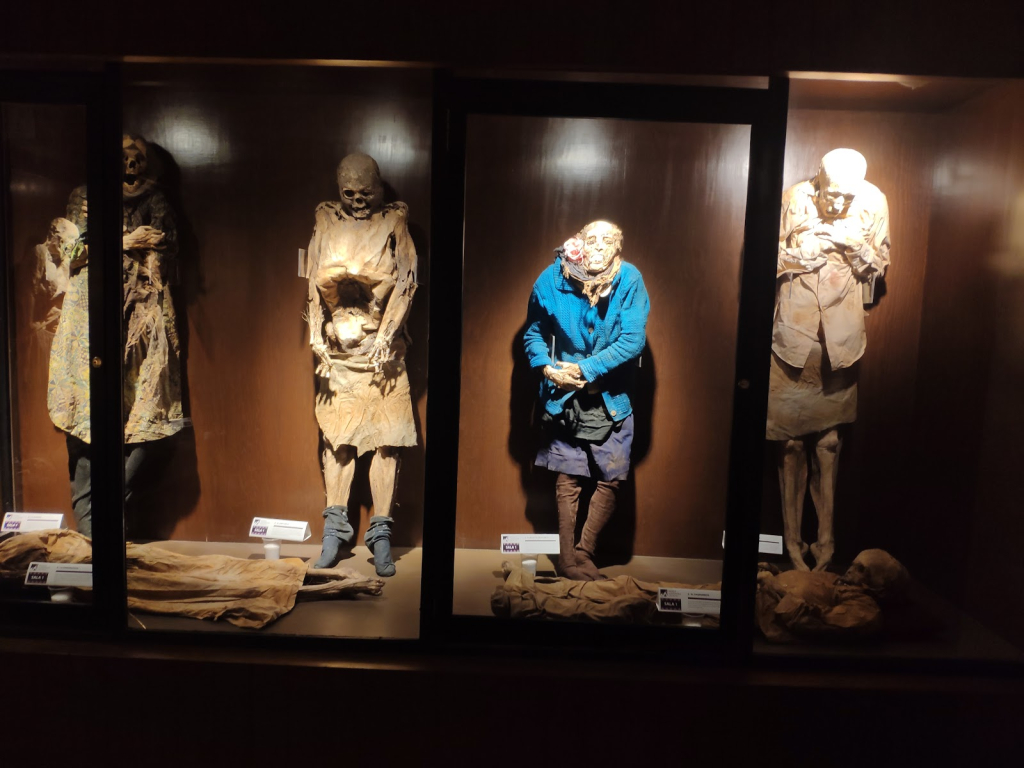 Museo de momias