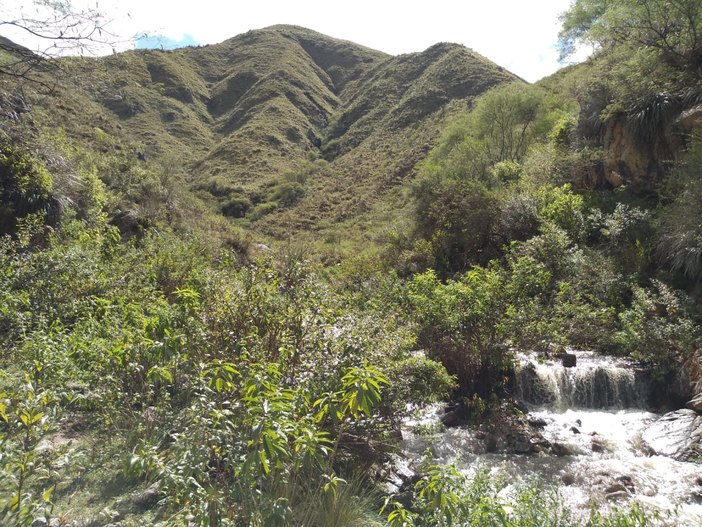 Puesto de Don Abrahan