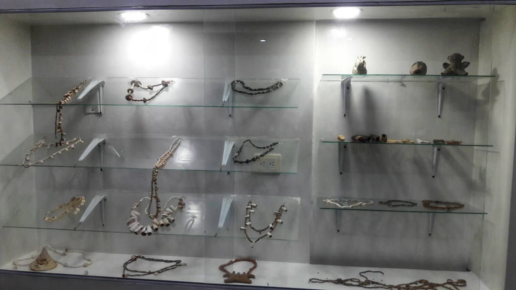 Museo Universitario Finzenú