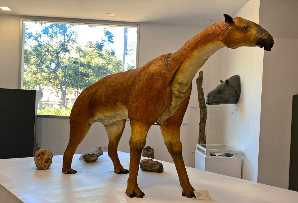 Museo de Ciencias Naturales 'Amado Bonpland'