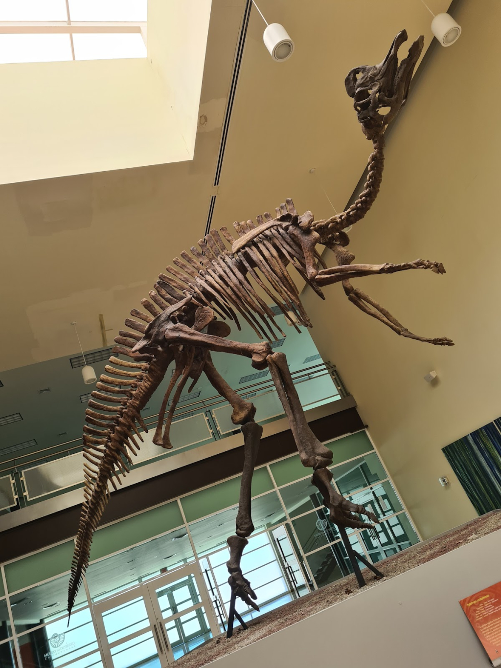 Museo del Desierto Chihuahuense