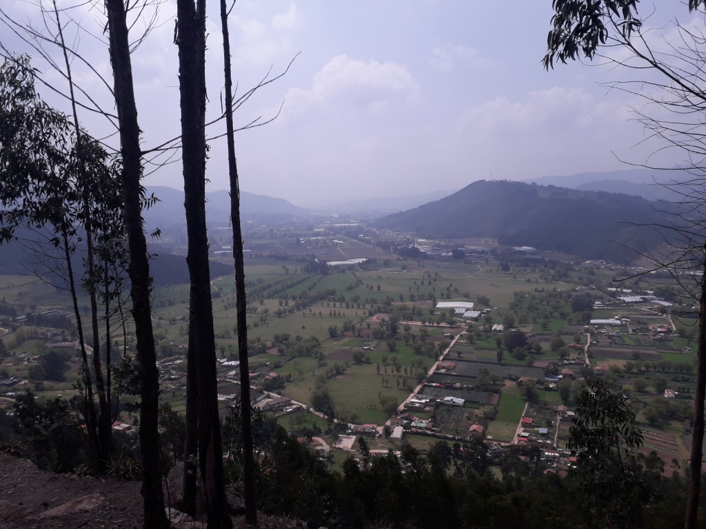 Tocogua