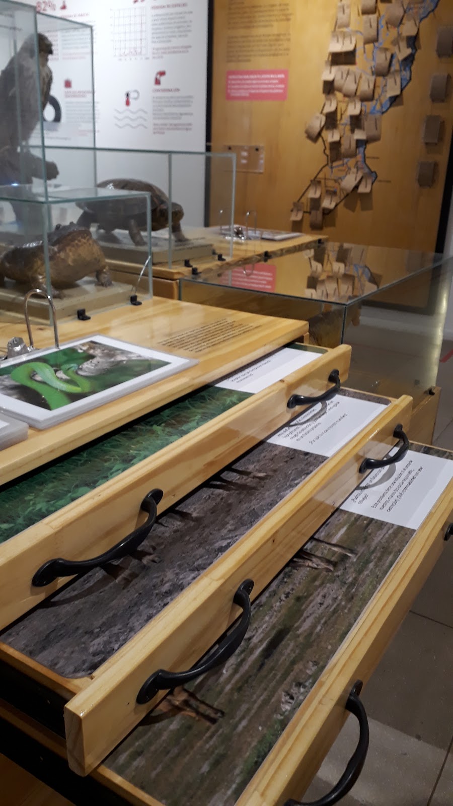 Museo Provincial de Ciencias Naturales 'Florentino Ameghino'