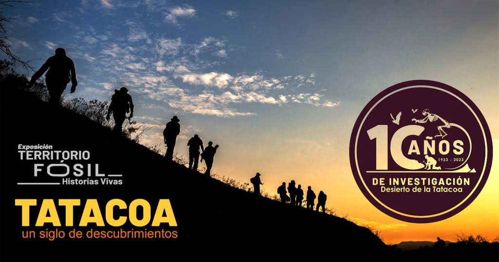 Museo De Historia Natural De La Tatacoa