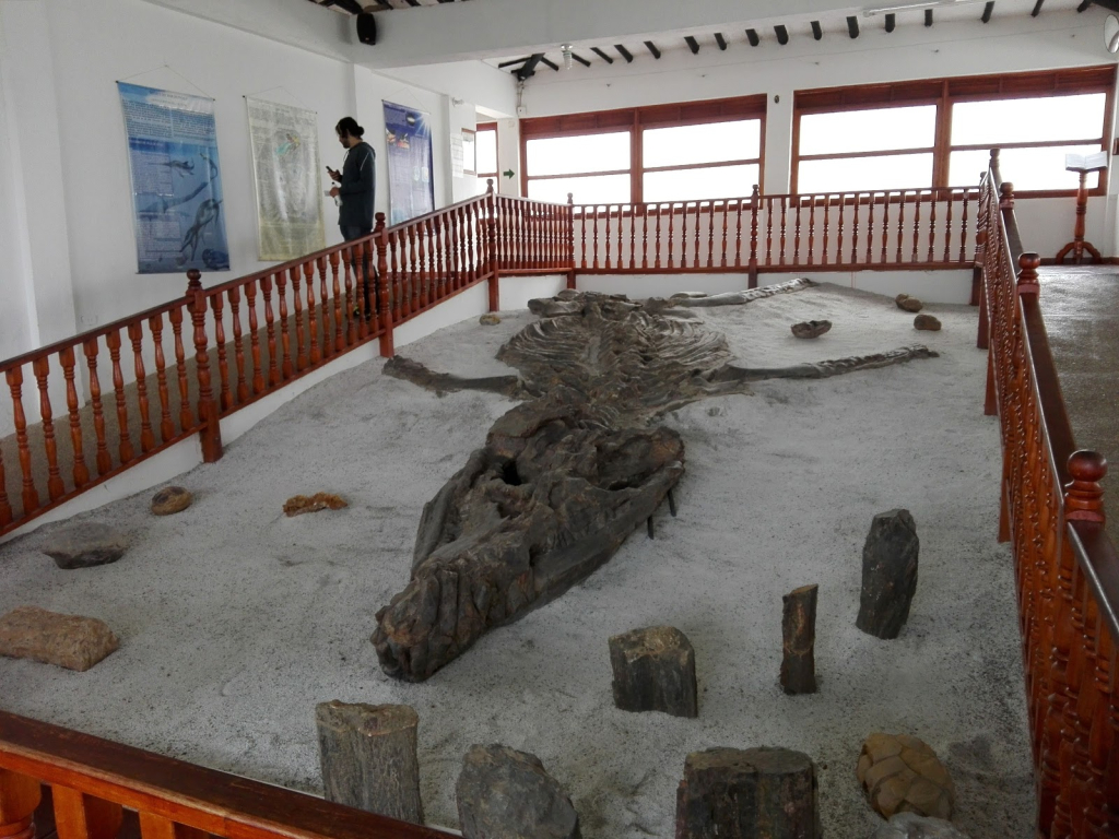 Museo Comunitario El Fósil