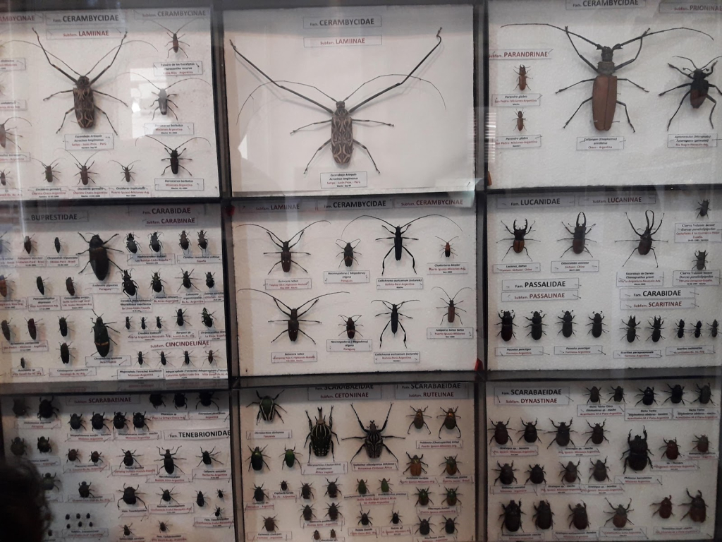 Museo interactivo de Ciencias Naturales