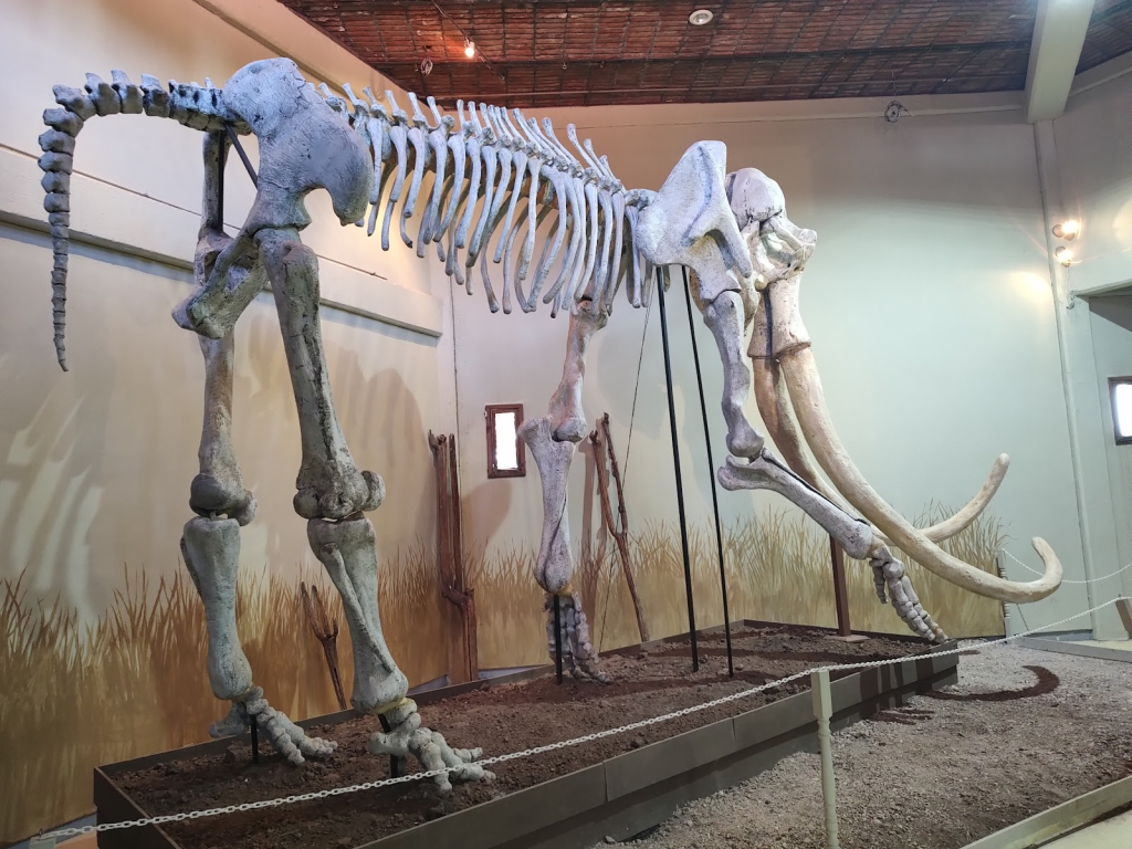 Museo Ecoturistico