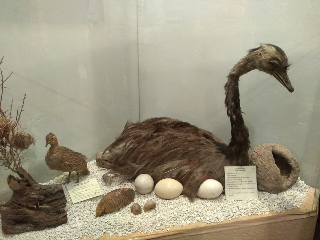 Museo Histórico y Natural de Lavalle