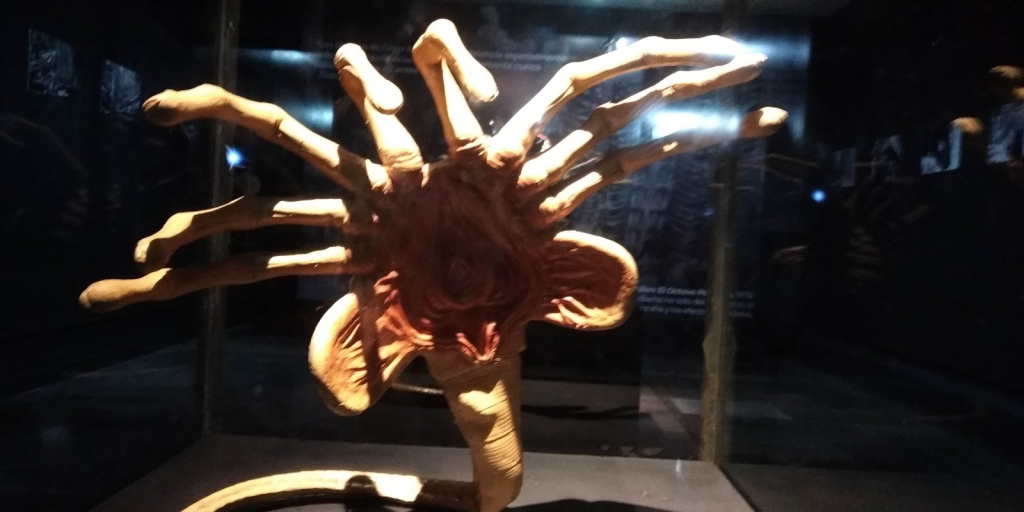 Museo Túnel de la Ciencia