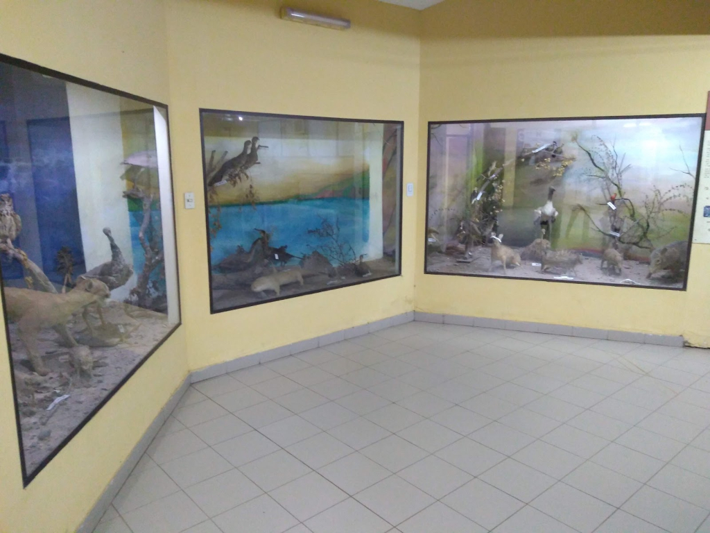Museo Regional Joaquin V. Gonzalez