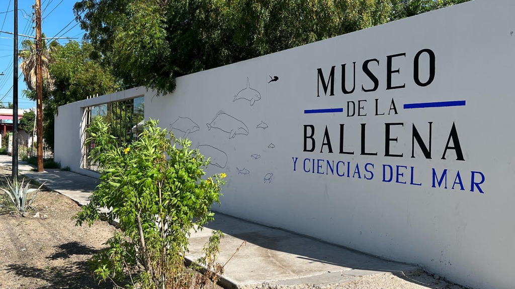 Museo de la Ballena y Ciencias Del Mar