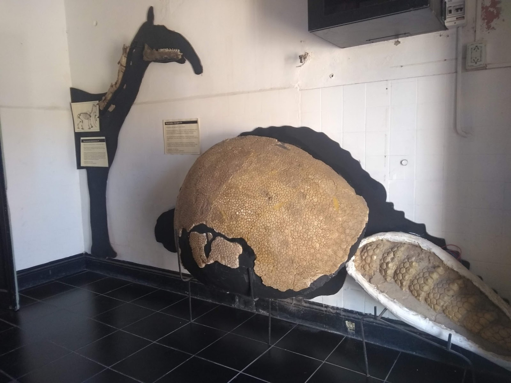 Museo de Ciencias Naturales