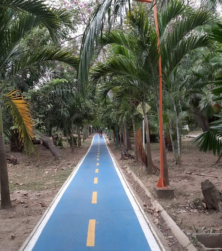 Parque Lineal La Primera