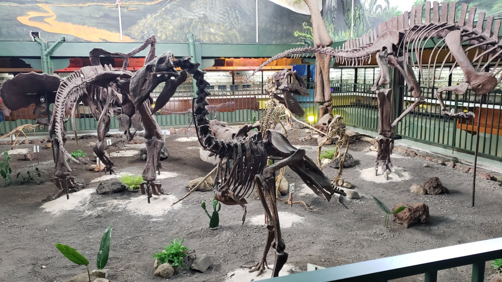 Museo de Ciencias Naturales La Salle